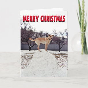 Festiva Tarjeta de Navidades de nieve de perro lindo
