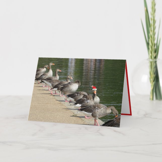 Festiva Tarjeta de Navidades de Odd Goose (Anverso)