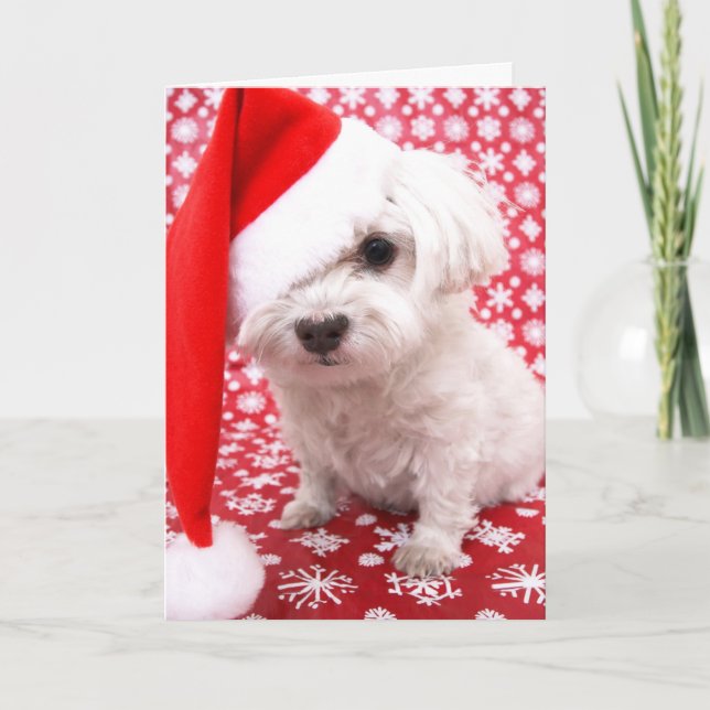 Festiva Tarjeta de Navidades de paginación (Anverso)