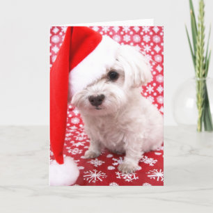 Festiva Tarjeta de Navidades de paginación