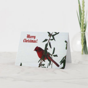 Festiva Tarjeta de Navidades de pájaros cardinales curioso
