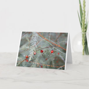 Festiva Tarjeta de Navidades de Peace on Earth Gardener