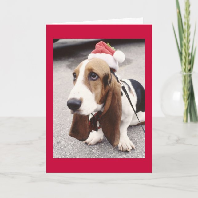 Festiva Tarjeta de Navidades de perro (Anverso)