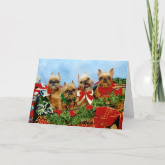 Festiva Tarjeta de Navidades de perro de peluche Griffon