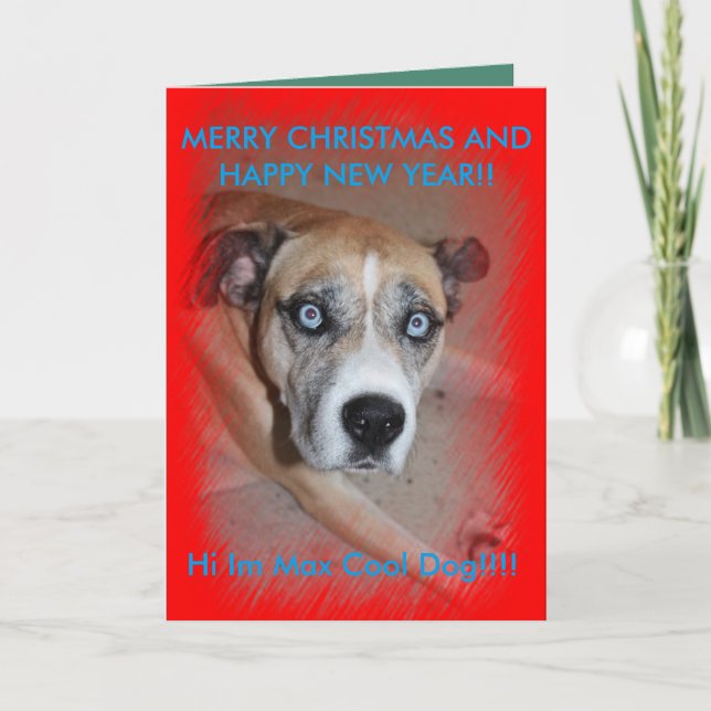 Festiva Tarjeta de Navidades de perro Mascota Max (Anverso)