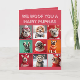 Festiva Tarjeta de Navidades de perros pequeños en sudader