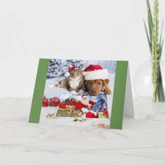 Festiva Tarjeta de Navidades de perros y gatos con Santa y