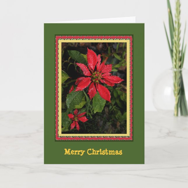Festiva Tarjeta de Navidades de personalizable Poinsettia (Anverso)