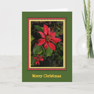 Festiva Tarjeta de Navidades de personalizable Poinsettia