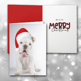 Festiva Tarjeta de Navidades de porras de Bulldog blanco d
