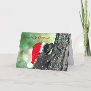 Festiva Tarjeta de Navidades de Raccoon en ascenso