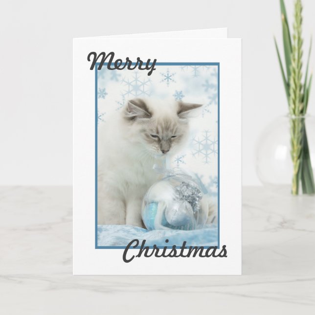 Festiva tarjeta de navidades de ragdoll (Anverso)