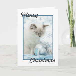 Festiva tarjeta de navidades de ragdoll