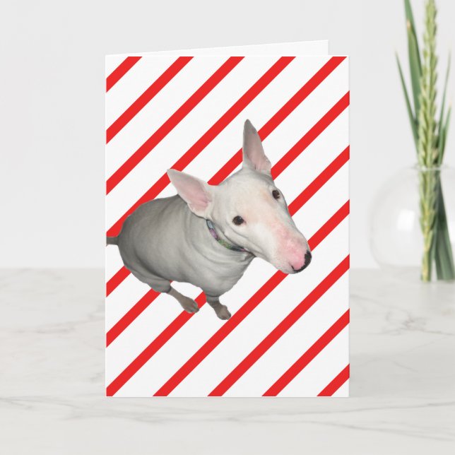 Festiva Tarjeta de Navidades de rayas rojas/rojas y blanca (Anverso)