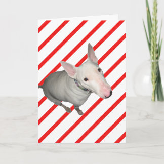 Festiva Tarjeta de Navidades de rayas rojas/rojas y blanca