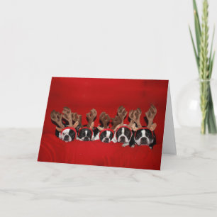 Festiva Tarjeta de Navidades de renos de Boston Terrier