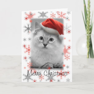 Festiva tarjeta de navidades de santa kitty