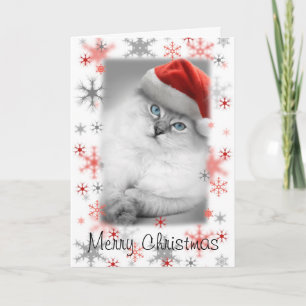 Festiva tarjeta de navidades de santa kitty