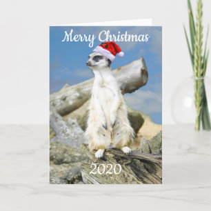 Festiva Tarjeta de Navidades de Santa Meerkat
