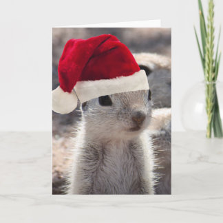 Festiva Tarjeta de Navidades de Santa Squirrel