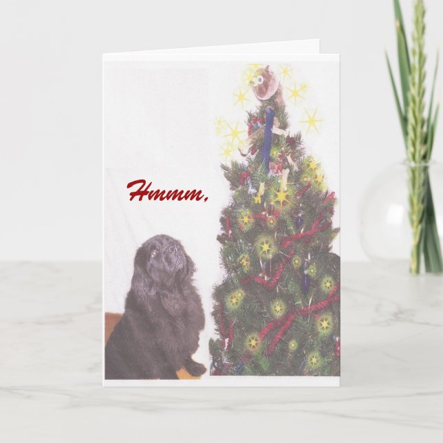 Festiva Tarjeta de Navidades de Terranova (Anverso)