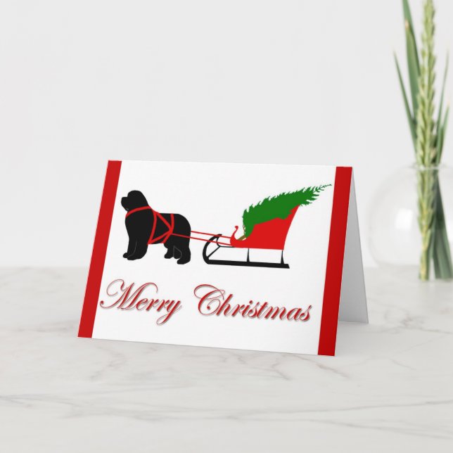 Festiva Tarjeta de Navidades de Terranova (Anverso)