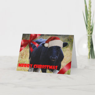 Festiva Tarjeta de Navidades de vaca negra