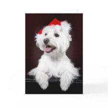 Tarjeta de Navidades de West Highland White Terrie