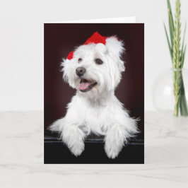 Festiva Tarjeta de Navidades de West Highland White Terrie