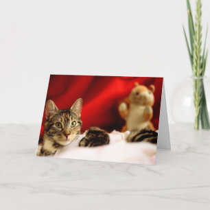 Festiva Tarjeta de Navidades del gato del mascota