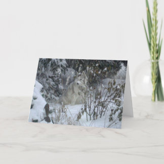 Festiva Tarjeta de Navidades del perro de Peace Love Joy