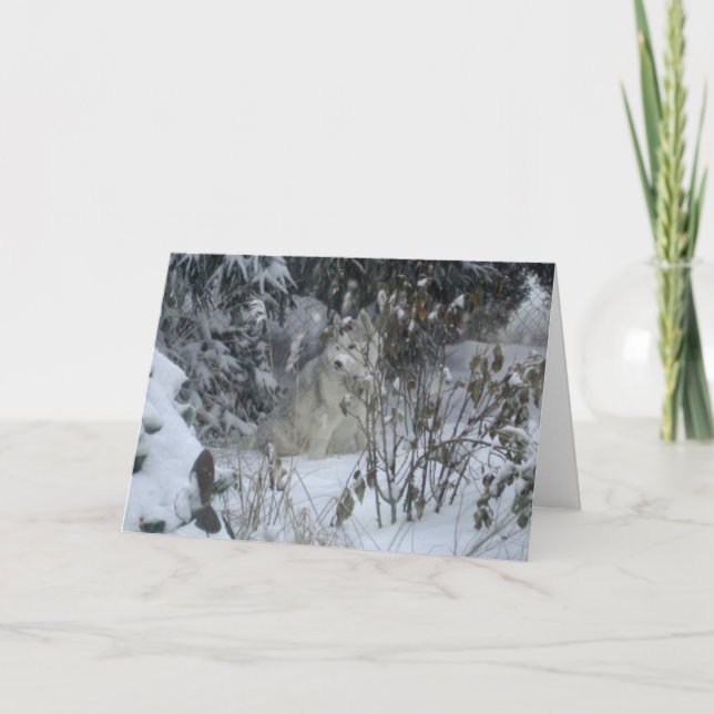 Festiva Tarjeta de Navidades del perro de Peace Love Joy (Anverso)