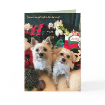 Tarjeta de Navidades del recolector de carbón cani