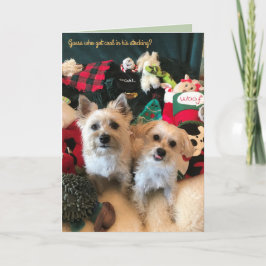 Festiva Tarjeta de Navidades del recolector de carbón cani