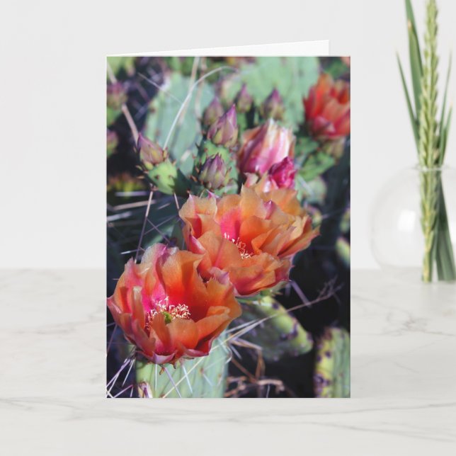 Festiva Tarjeta de Navidades del Suroeste (Anverso)