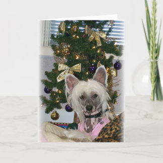 Festiva Tarjeta de Navidades detenidos chinos