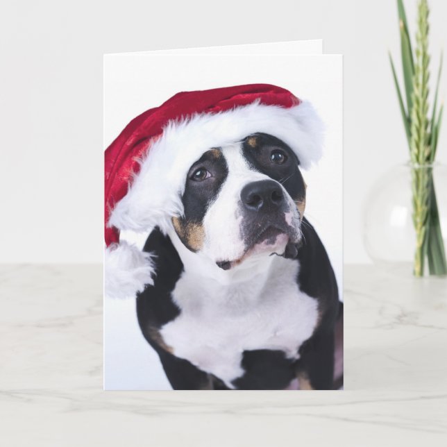 Festiva Tarjeta de Navidades divertidos (Anverso)