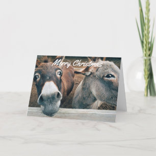 Festiva Tarjeta de Navidades divertidos - Burro