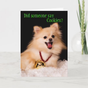 Festiva Tarjeta de Navidades divertidos del perro