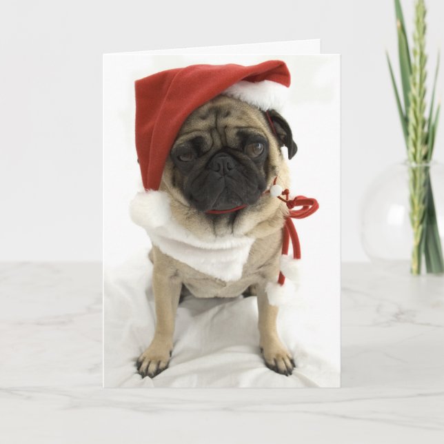 Festiva Tarjeta de Navidades divertidos - Puggy (Anverso)