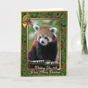 Festiva Tarjeta de Navidades en blanco animal rojo panda c