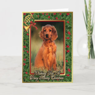 Festiva Tarjeta de Navidades en blanco del perro de los ci