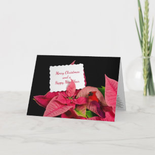 Festiva Tarjeta de navidades en Poinsettia