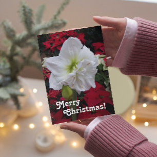 Festiva Tarjeta de Navidades florales en flor blanca Amary