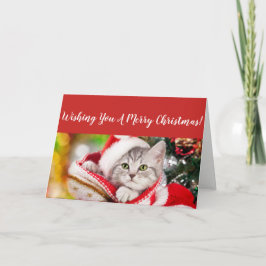 Festiva Tarjeta de Navidades Fluffy Kitten