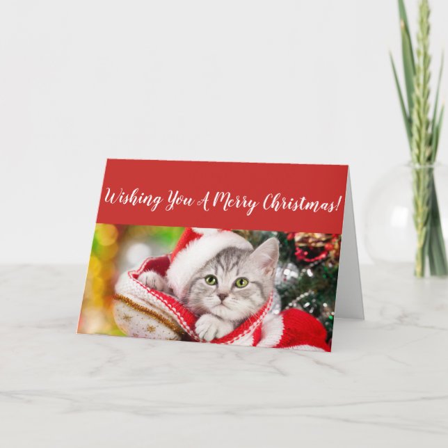 Festiva Tarjeta de Navidades Fluffy Kitten (Anverso)