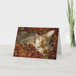 Festiva tarjeta de navidades - gato bengalí