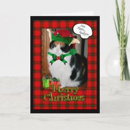 Festiva tarjeta de navidades, gato gruñón