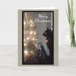 Festiva Tarjeta de Navidades Gato navidades Alegría Calico