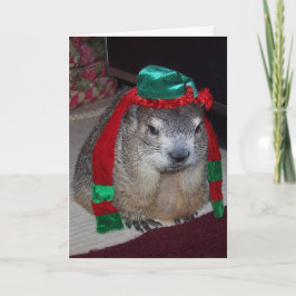 Festiva Tarjeta de Navidades Groundhog